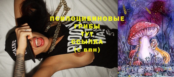 прущие грибы Алзамай