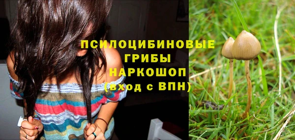 дурь Арсеньев
