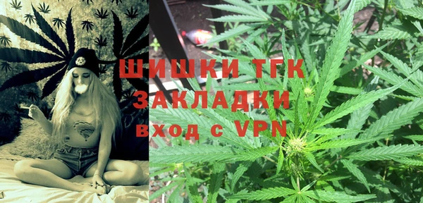 прущие грибы Алзамай