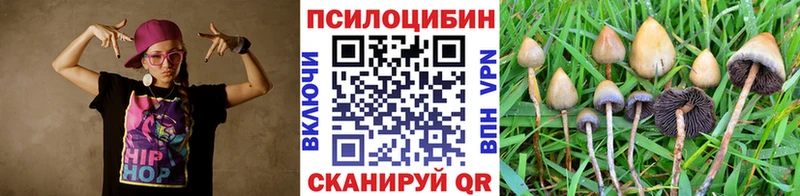 продажа наркотиков Сясьстрой Псилоцибиновые грибы мухоморы