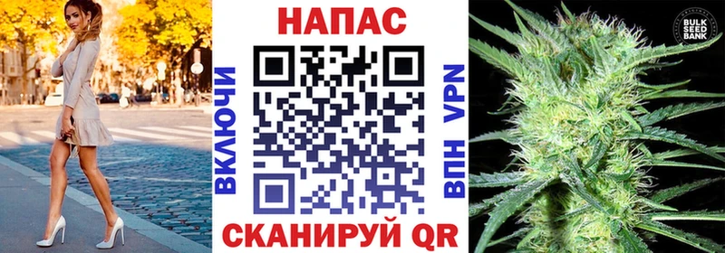 Каннабис план купить наркоту Сясьстрой